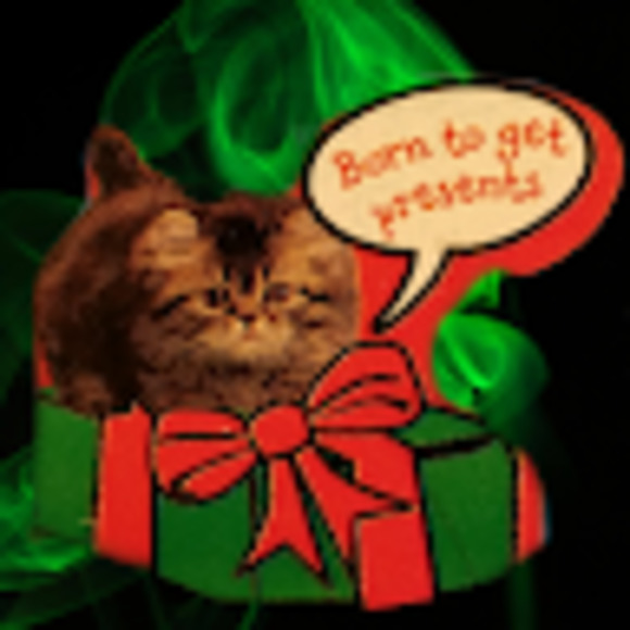 Meet your Posher, Alice - Picture 1 of 1